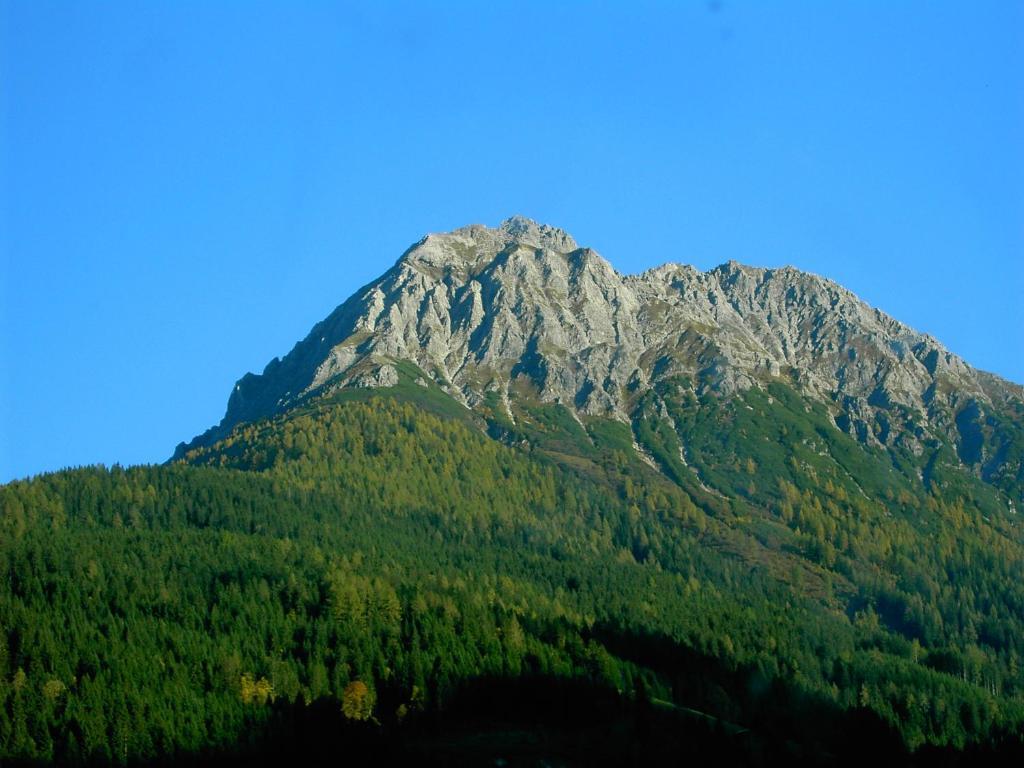 Appartement Heiss Kleinarl Exteriör bild